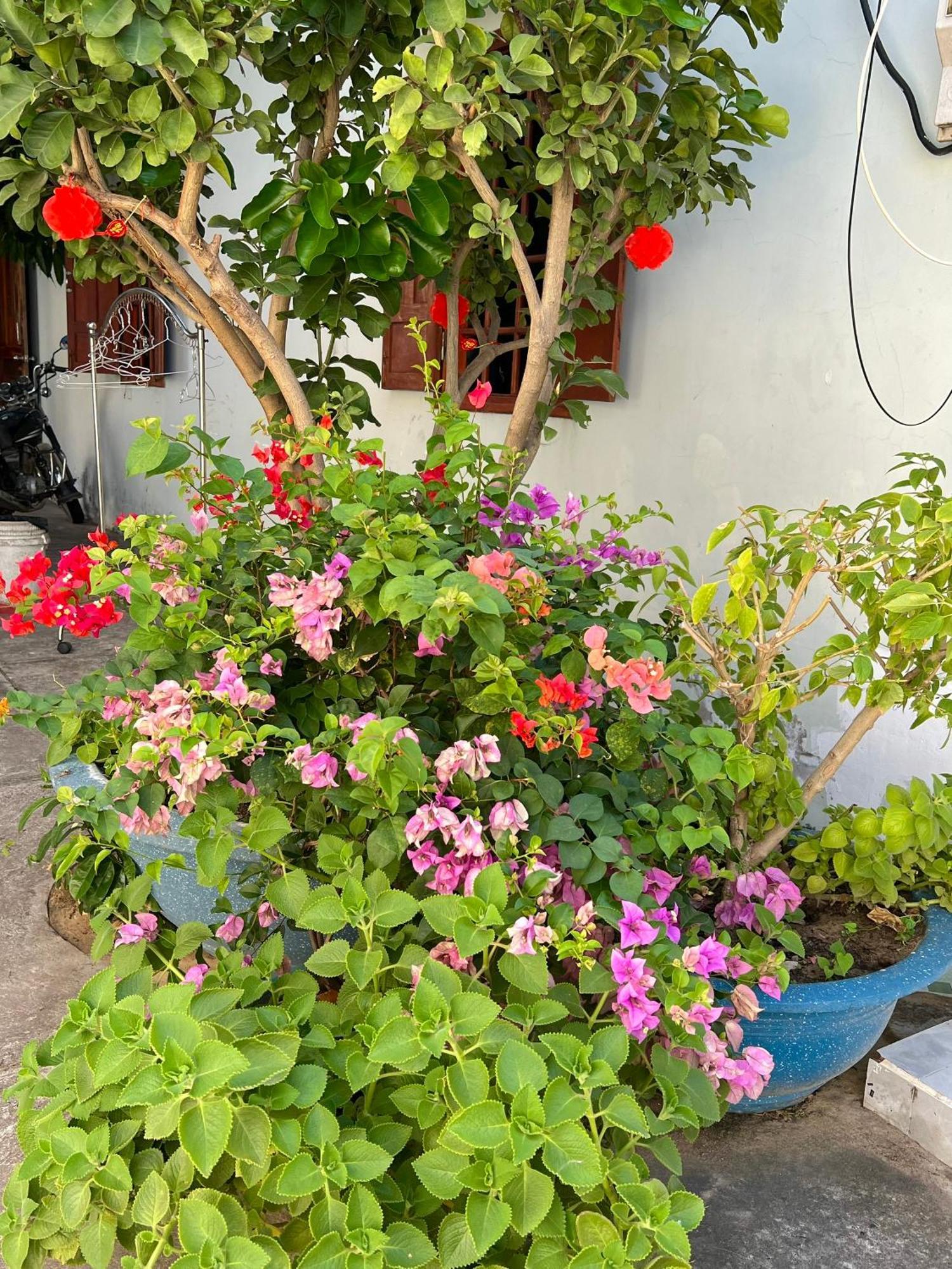 Duc Thao Guest House Mui Ne Exterior foto