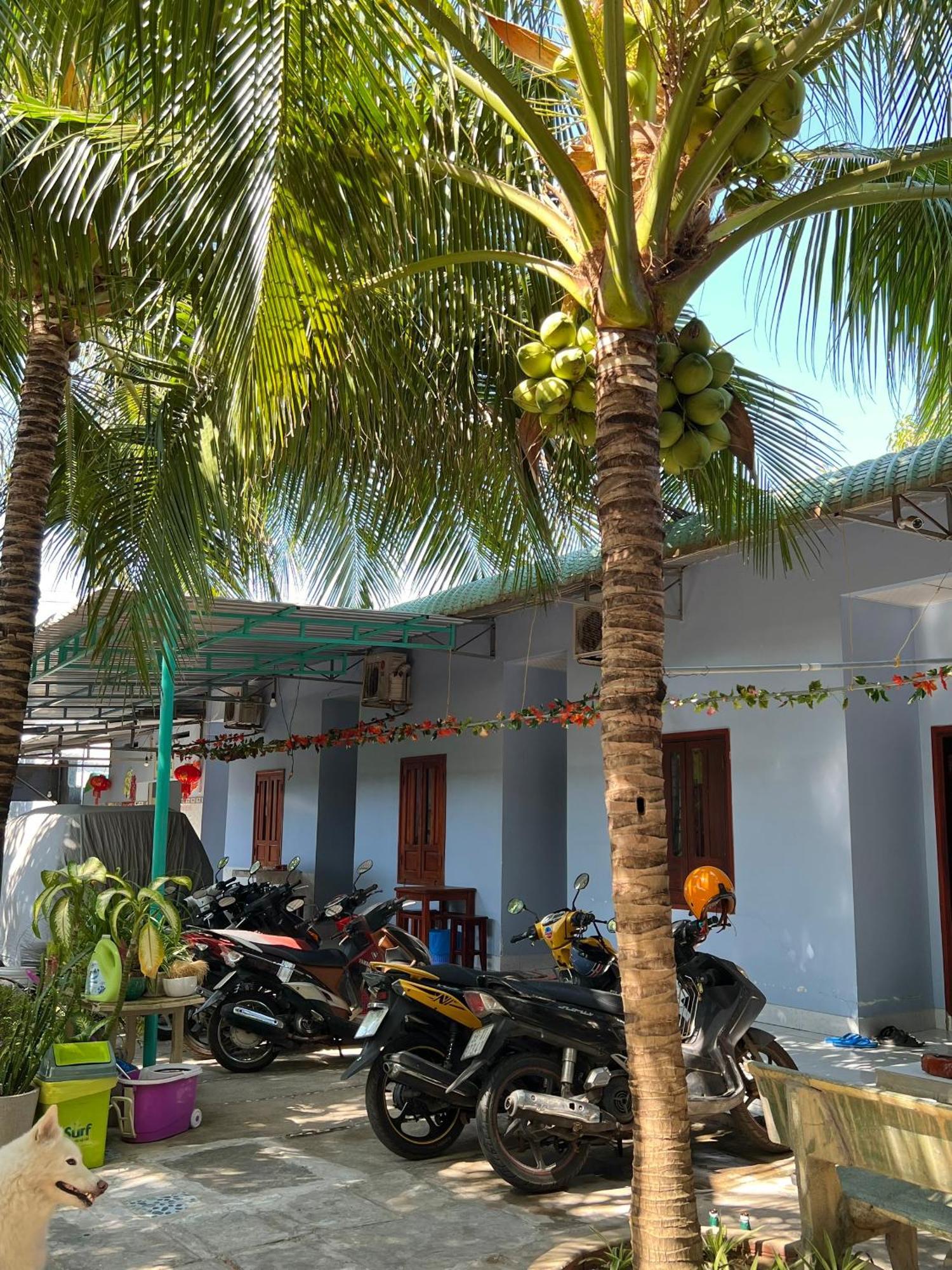 Duc Thao Guest House Mui Ne Exterior foto